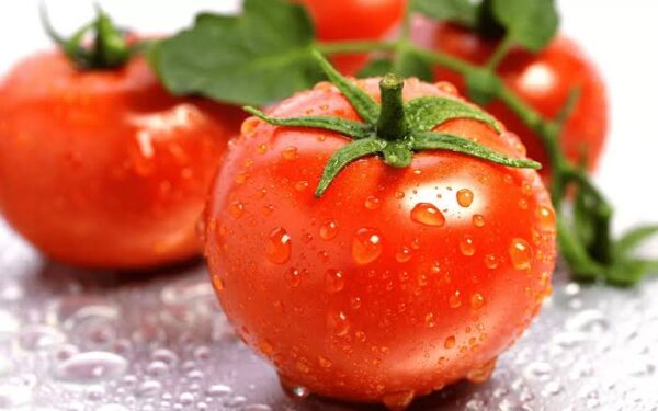 Tomatoes